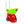 Pickle mit 2-Funktionen-Fernbedienung